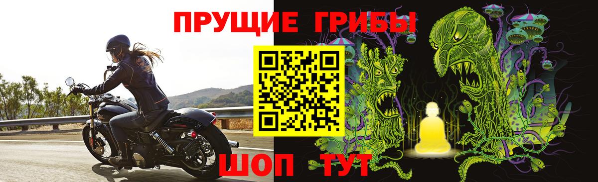 Псилоцибиновые грибы MAGIC MUSHROOMS Коммунар